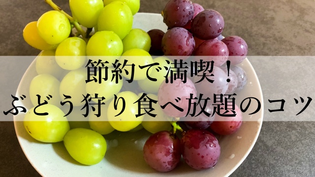 節約で満喫！ぶどう狩り食べ放題のコツ