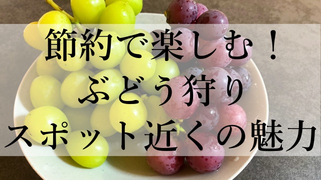 節約で楽しむ！ぶどう狩りスポット近くの魅力