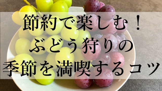 節約で楽しむ！ぶどう狩りの季節を満喫するコツ