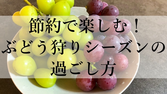 節約で楽しむ！ぶどう狩りシーズンの過ごし方