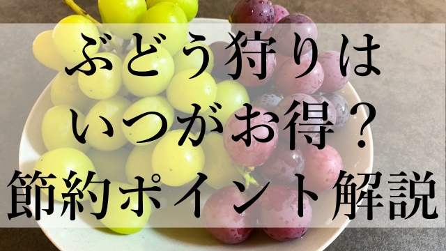 ぶどう狩りはいつがお得？節約ポイント解説