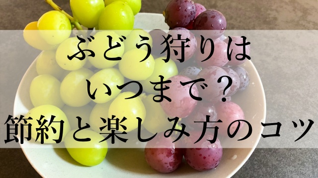 ぶどう狩りはいつまで？節約と楽しみ方のコツ