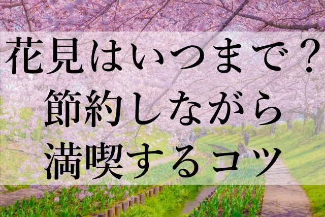 花見はいつまで？節約しながら満喫するコツ