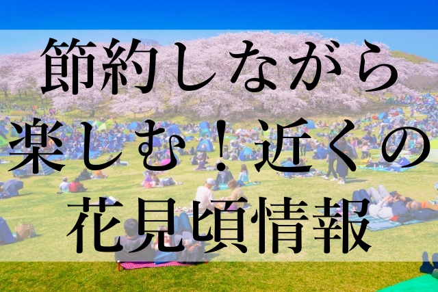 節約しながら楽しむ！近くの花見頃情報