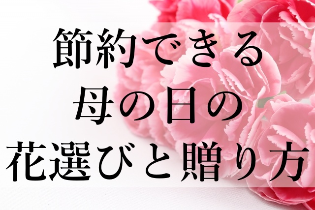 節約できる母の日の花選びと贈り方