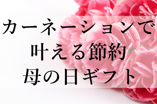 カーネーションで叶える節約母の日ギフト